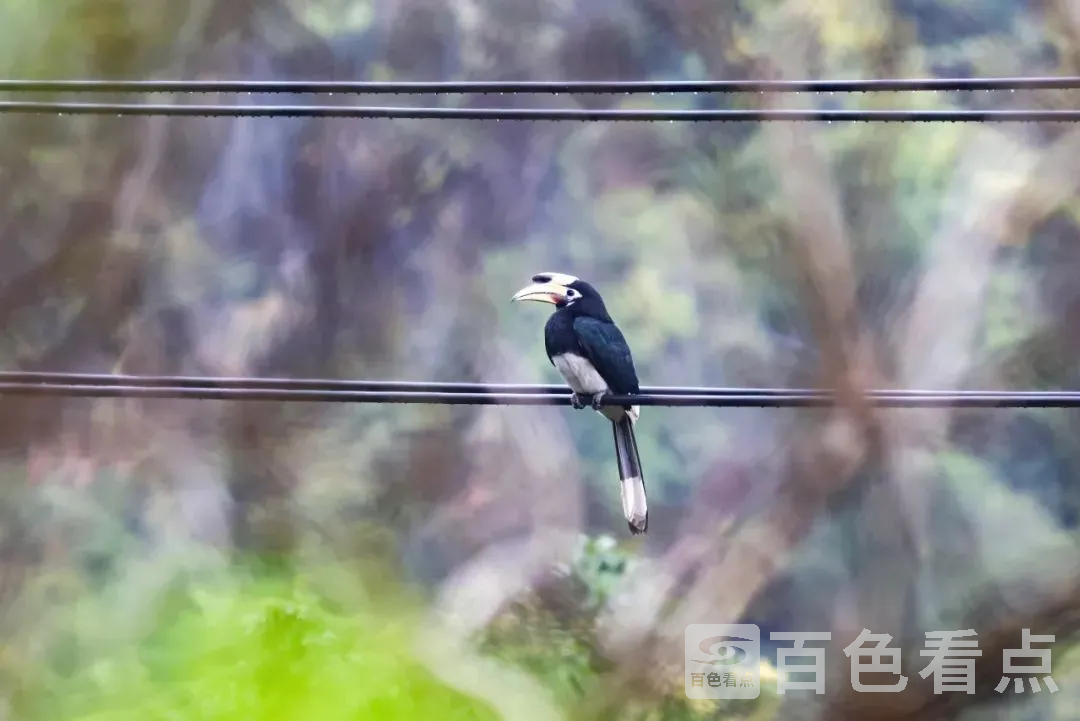 微信图片_20230218141456.webp