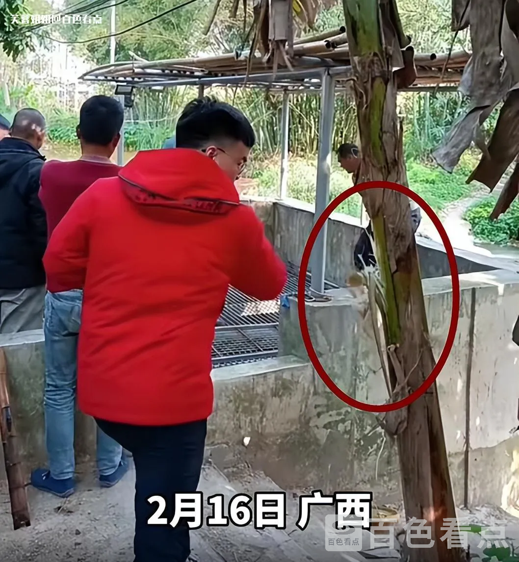 微信图片_20230218155926.webp