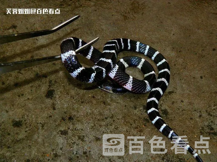 微信图片_20230301101057.webp