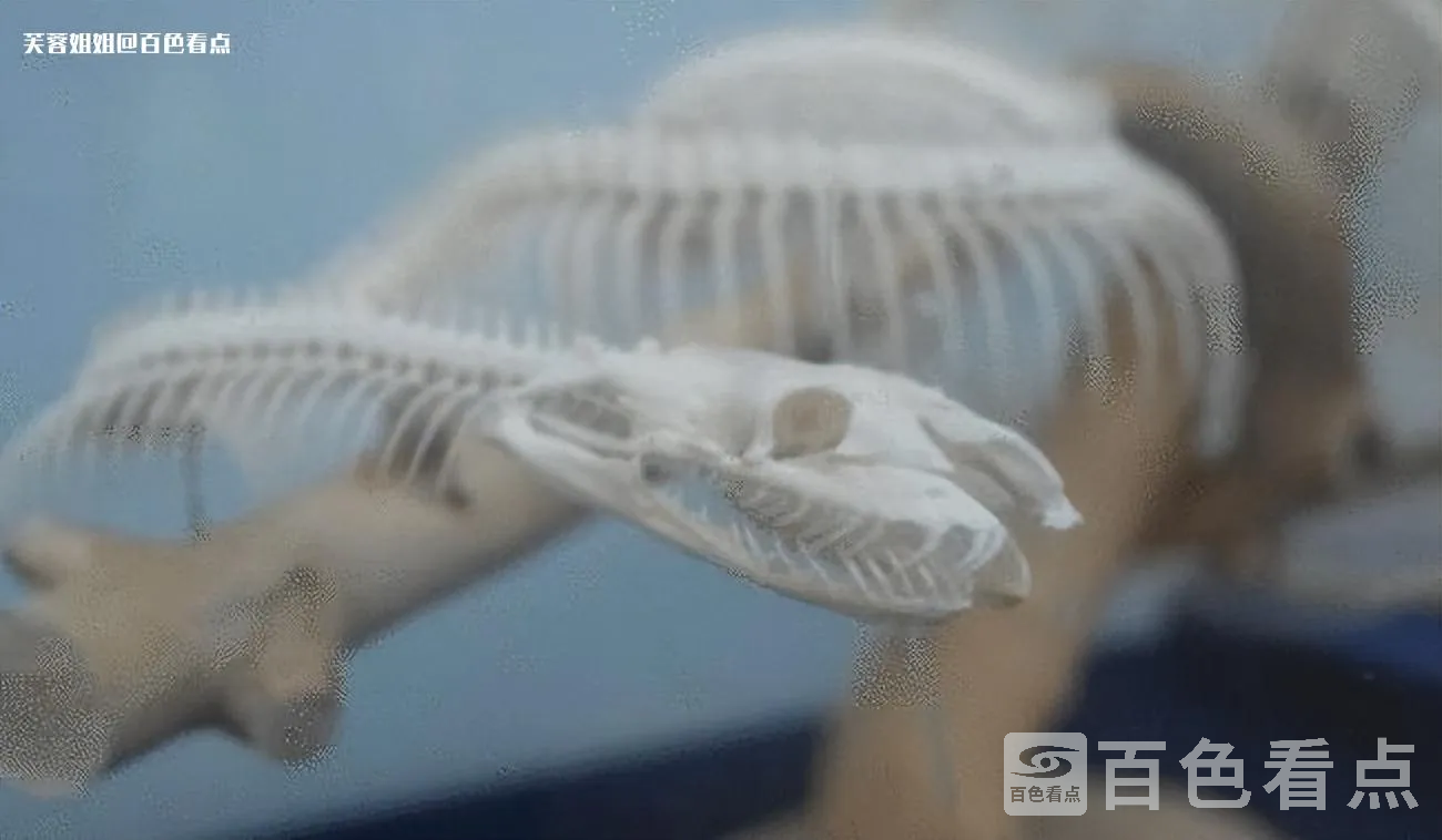 微信图片_20230301101054.webp