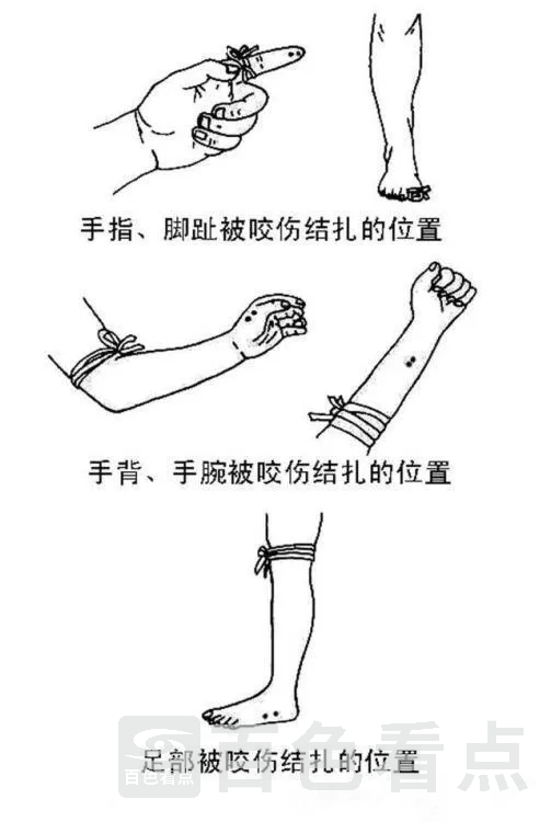 微信图片_20230301101110.webp