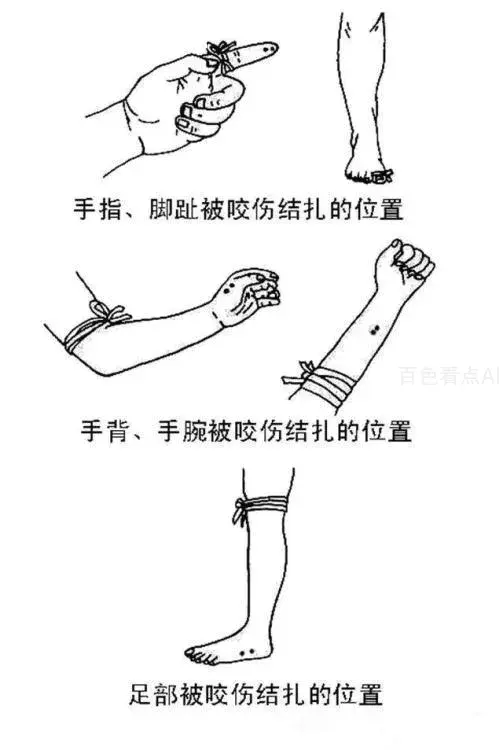 微信图片_20230301101110.webp
