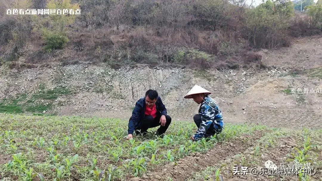 微信图片_20230330153825.webp