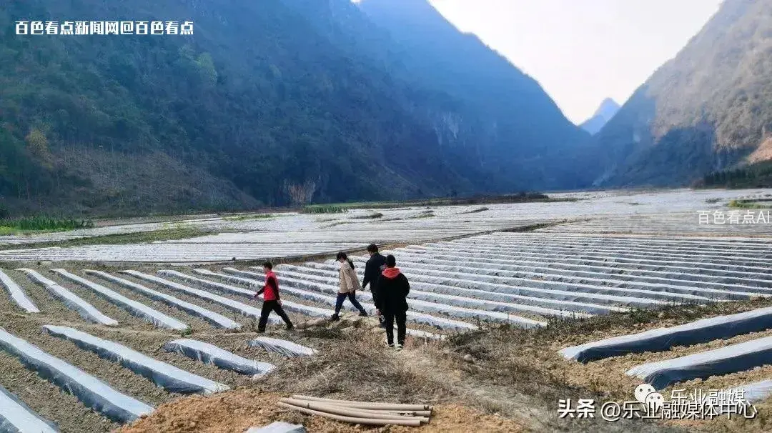 微信图片_20230330153828.webp