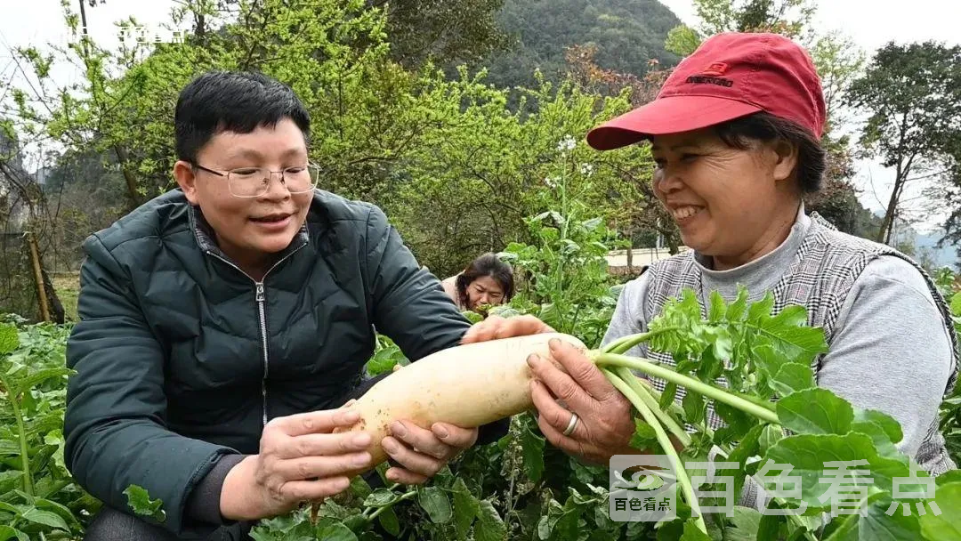 微信图片_20230402162212.webp