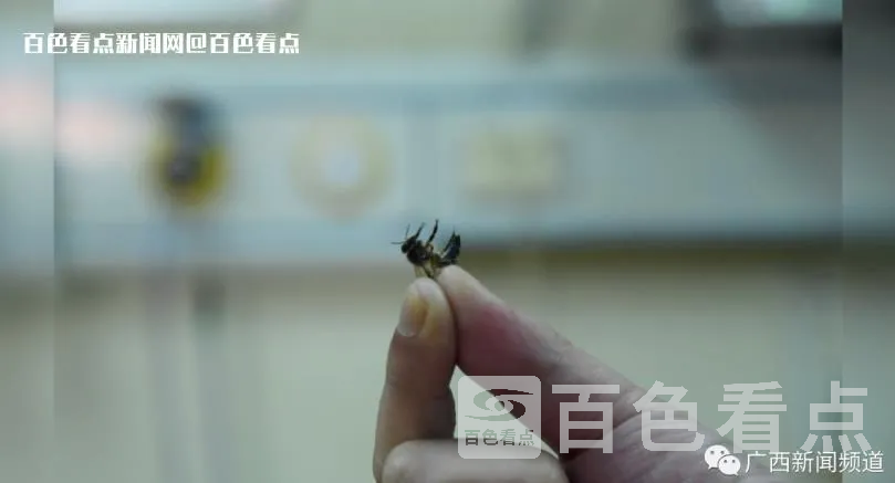 微信截图_20230407100429.webp