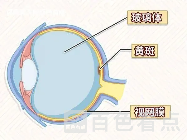 微信图片_20230407104328.webp