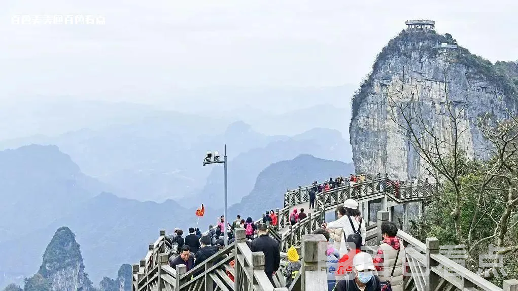 微信图片_20230407104751.webp