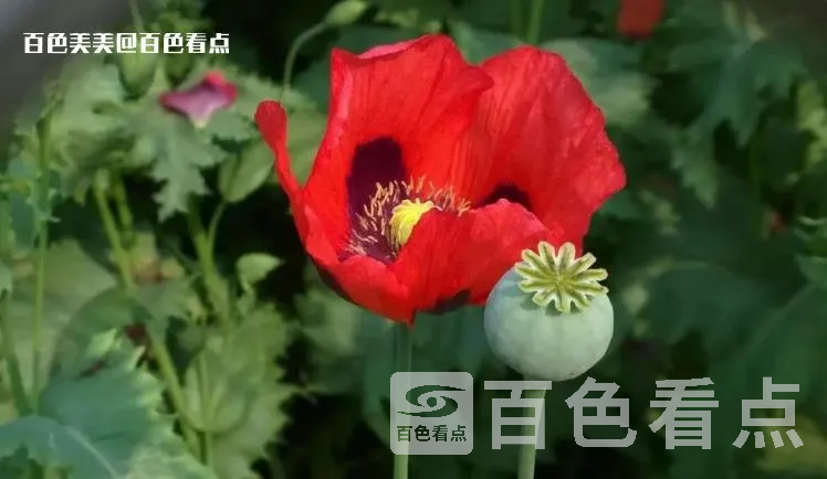 微信截图_20230420160951.webp