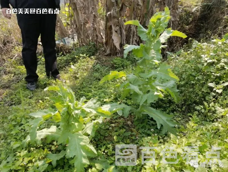 微信截图_20230420160938.webp