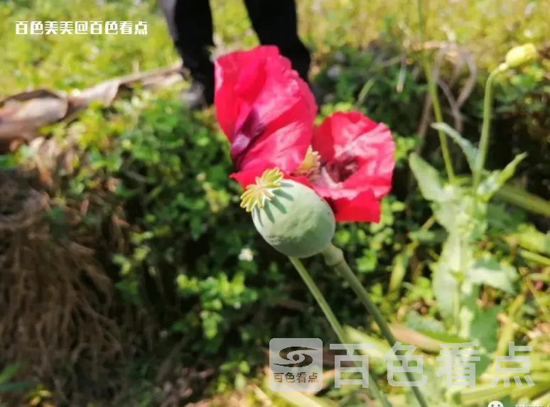 微信截图_20230420160931.webp