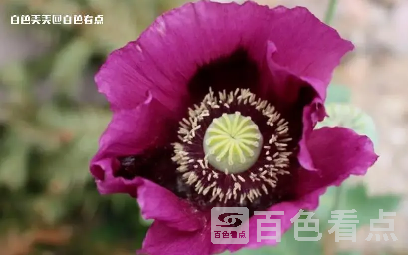 微信截图_20230420160923.webp