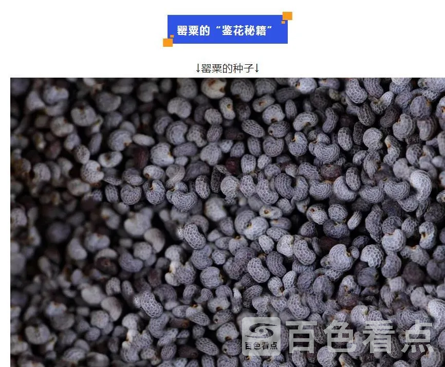 微信截图_20230420161017.webp