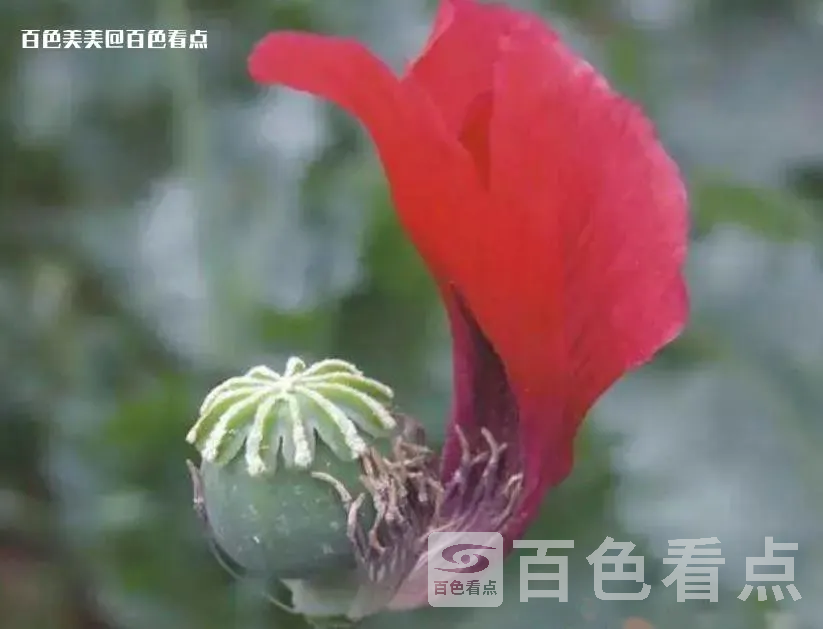 微信截图_20230420161057.webp