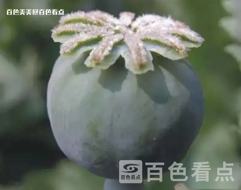 微信截图_20230420161102.webp