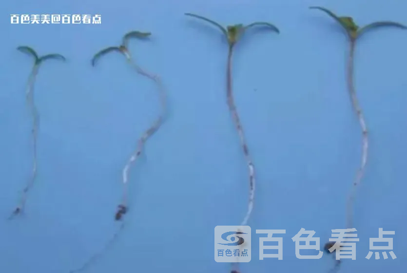 微信截图_20230420161025.webp