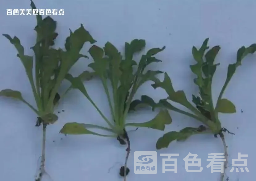微信截图_20230420161031.webp