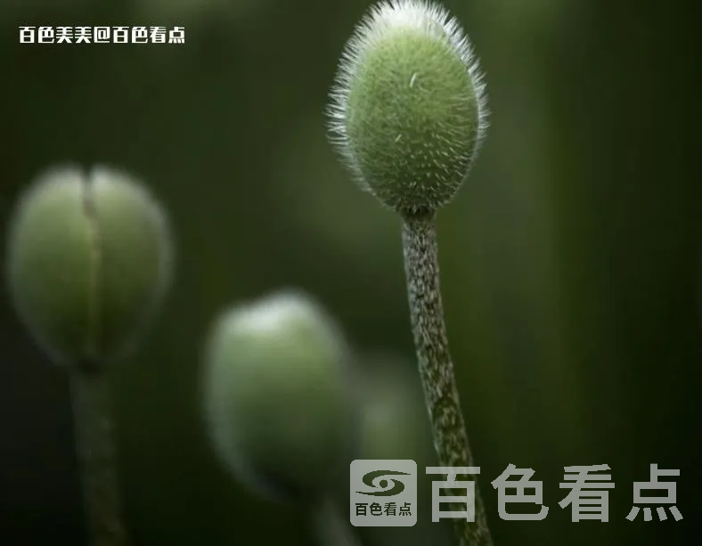 微信截图_20230420161045.webp