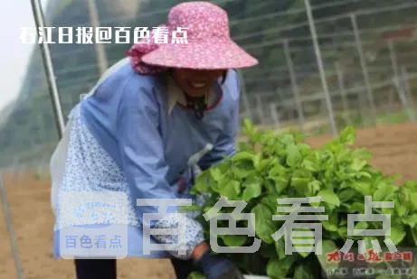 微信截图_20230506105215.webp