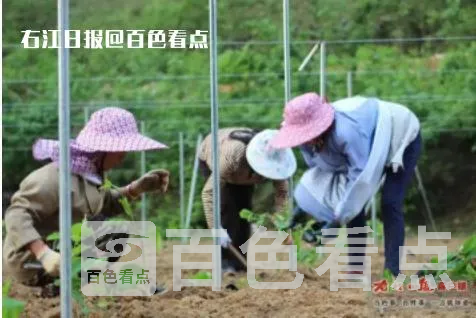 微信截图_20230506105221.webp