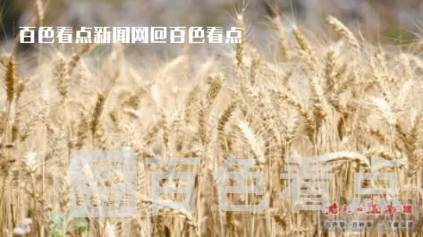 微信截图_20230506114219.webp