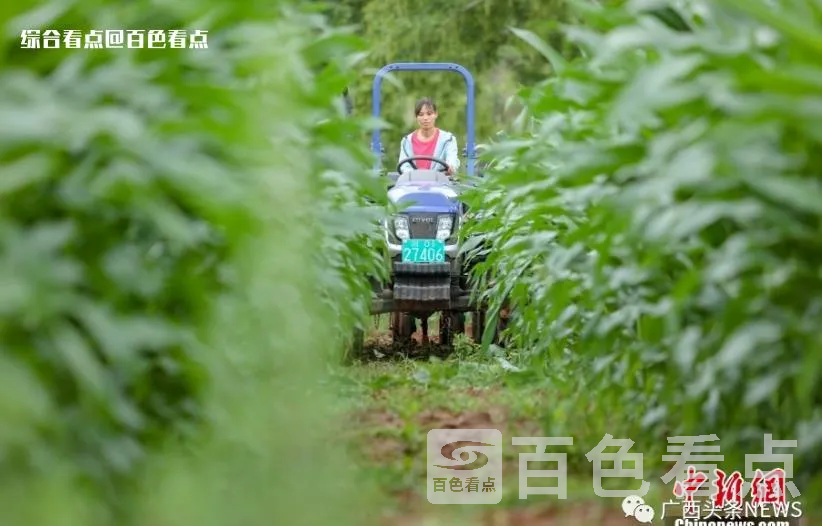 微信截图_20230508143855.webp