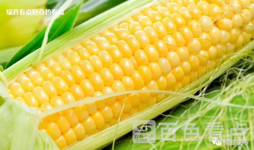 微信截图_20230508143904.webp