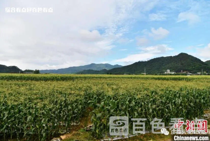 微信截图_20230508143920.webp