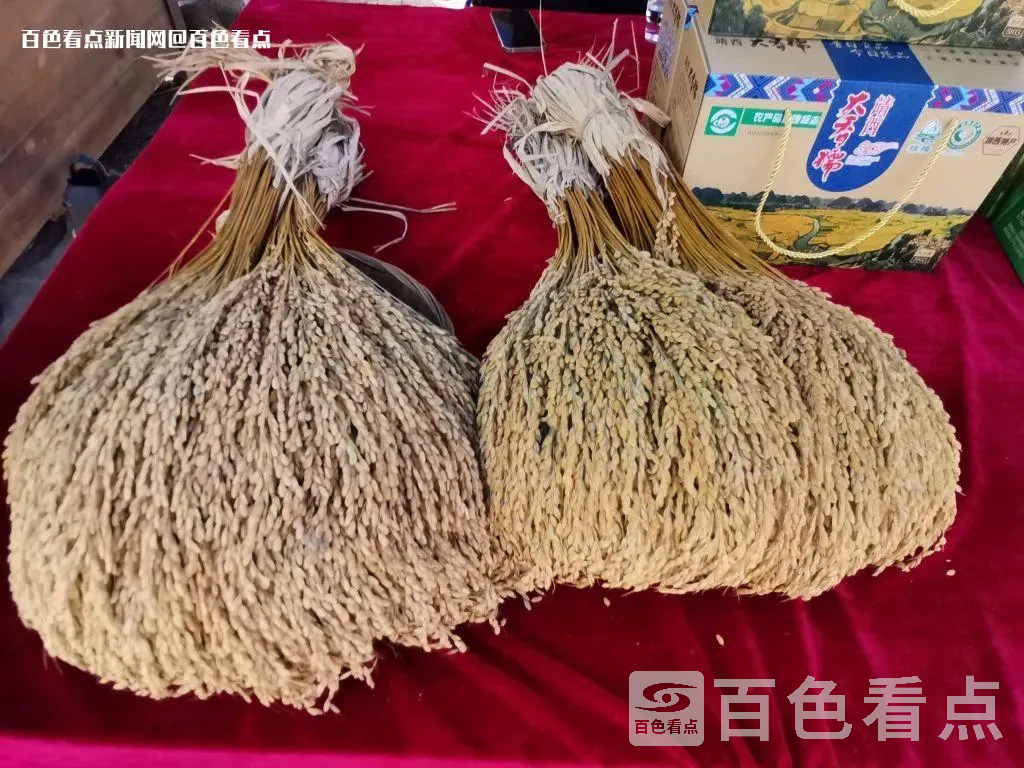 微信图片_20230517110055.webp