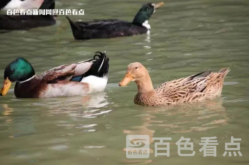 微信图片_20230517110059.webp