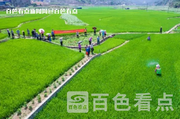 微信截图_20230523105852.webp