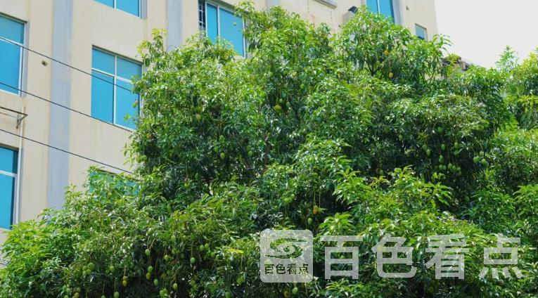 微信截图_20230524113934.jpg