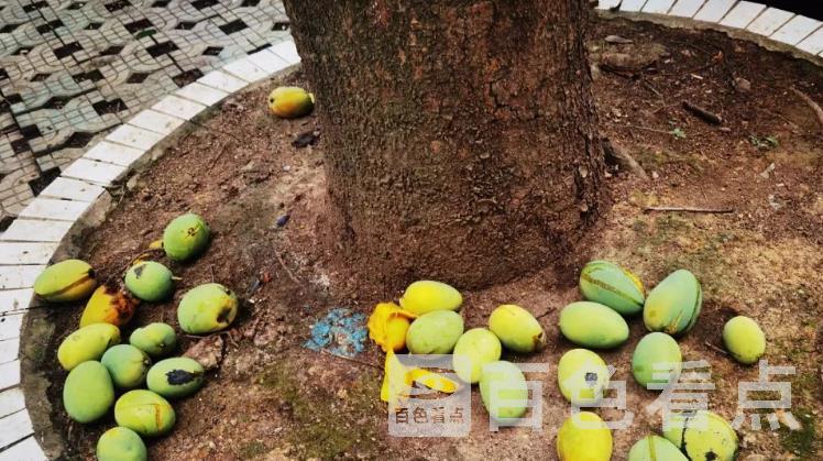 微信截图_20230524113952.jpg