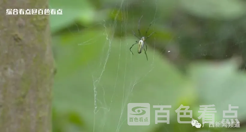 微信截图_20230524143433.webp