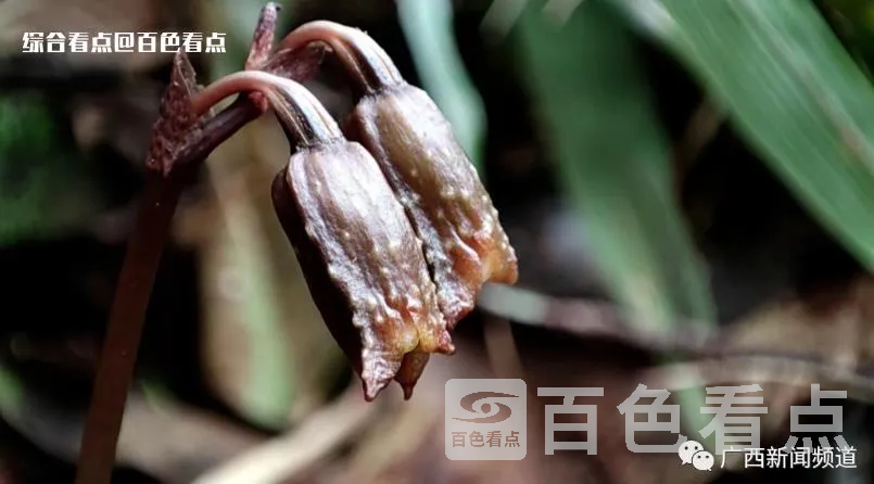 微信截图_20230524143459.webp