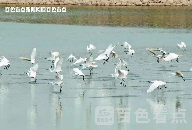 微信截图_20230525095610.webp