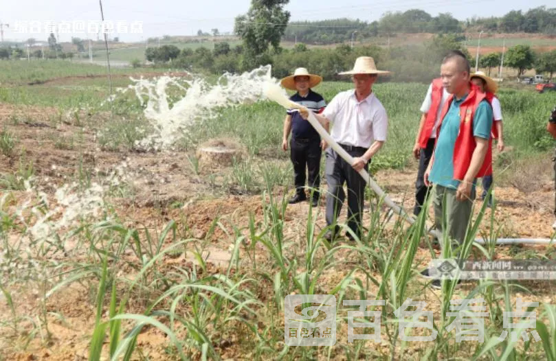 微信截图_20230525145114.webp