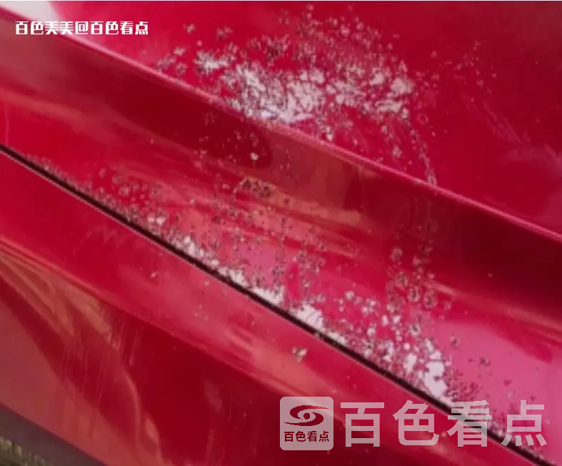 微信截图_20230526102751.webp