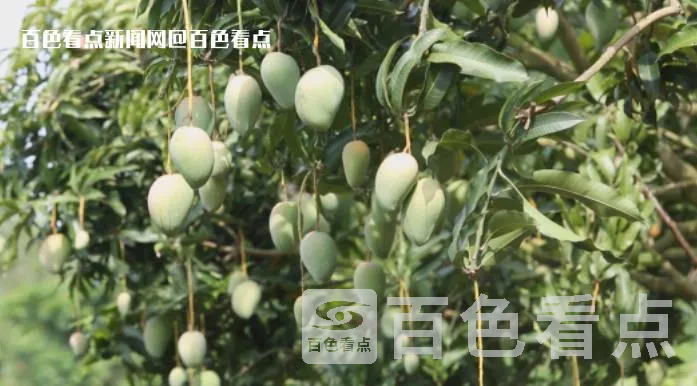 微信截图_20230527090707.webp