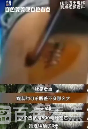 微信截图_20230603093644.webp