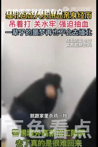 微信截图_20230603093240.webp