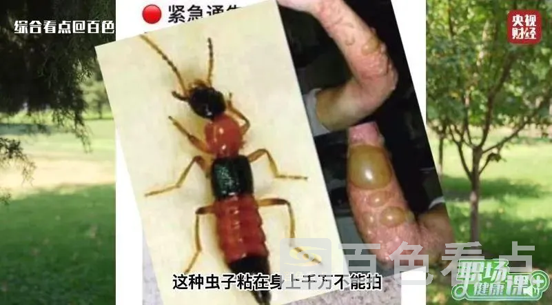 微信图片_20230605091715.webp