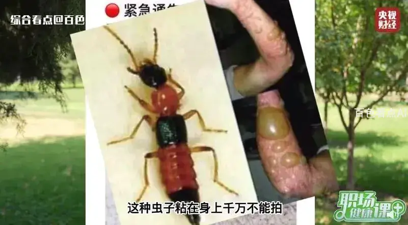 微信图片_20230605091715.webp