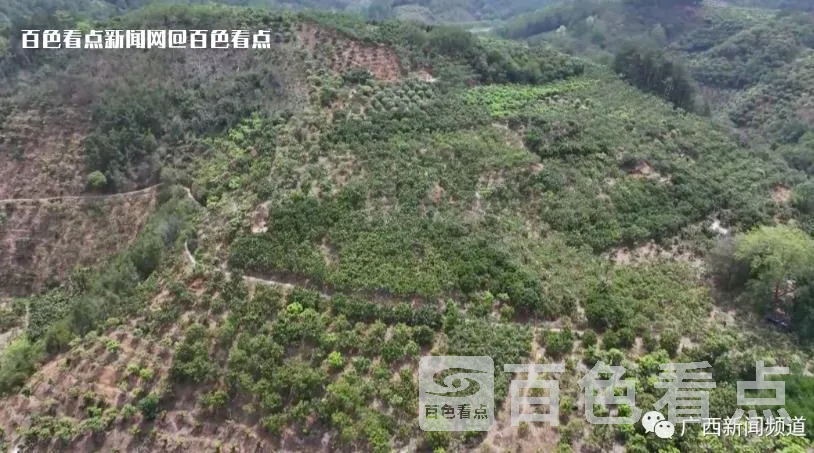 微信截图_20230605115608.webp