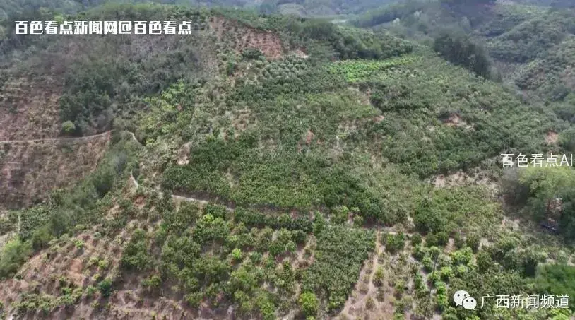 微信截图_20230605115608.webp