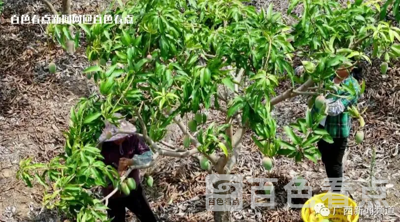 微信截图_20230605115627.webp