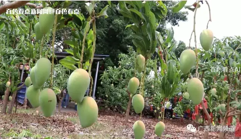 微信截图_20230605115658.webp