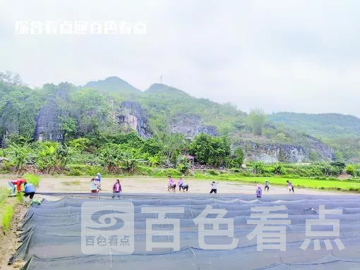 微信截图_20230609163214.webp