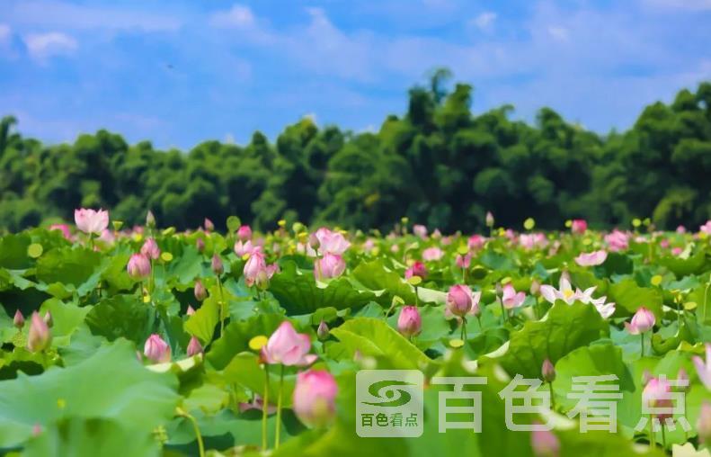 微信截图_20230616143152.jpg