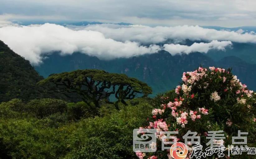 微信截图_20230616143206.jpg